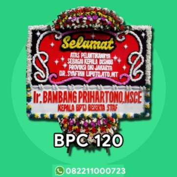 BPC 120