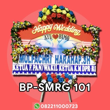 BP-SMRG 101