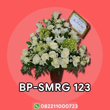 BP-SMRG 123